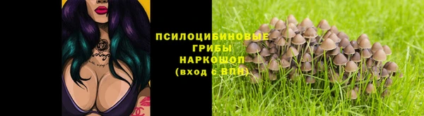 дурь Зеленокумск