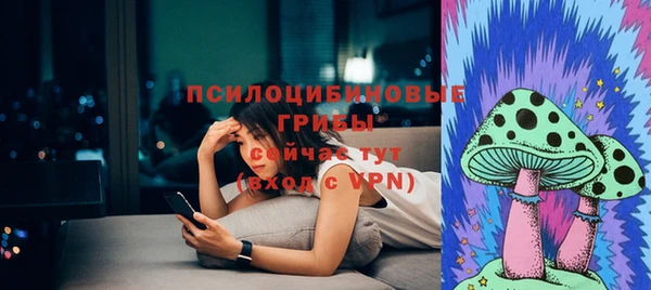 дурь Зеленокумск