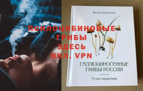 ГАЛЛЮЦИНОГЕННЫЕ ГРИБЫ Зеленодольск