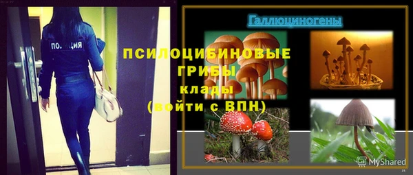 ГАЛЛЮЦИНОГЕННЫЕ ГРИБЫ Зеленодольск