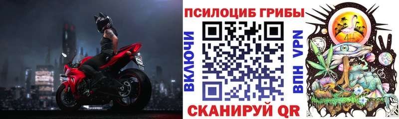 Купить закладки  Надым  Галлюциногенные грибы Cubensis 